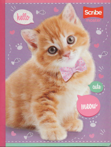 Cuaderno cosido rayado niña x 100 hojas Cute Meow