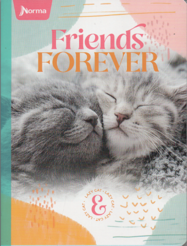 Cuaderno cosido rayado niña x 100 hojas Friends Forever