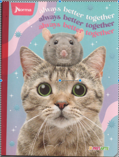 Cuaderno cosido ferrocarril niña x 50 Always better together