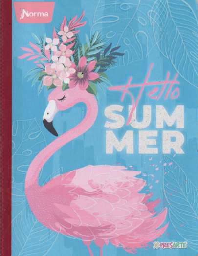 Cuaderno cosido ferrocarril niña x 50 Hello summer