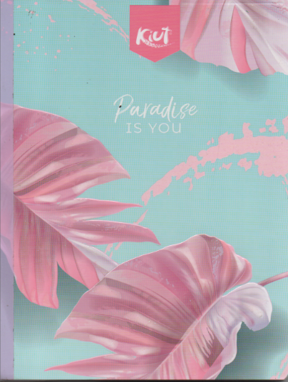 Cuaderno cosido ferrocarril niña x 100 hojas paradise is you