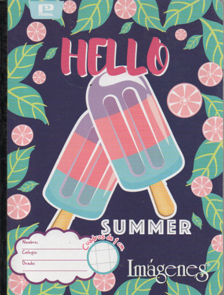 Cuaderno niña cuadritos tipo b 100 hojas Hello summer