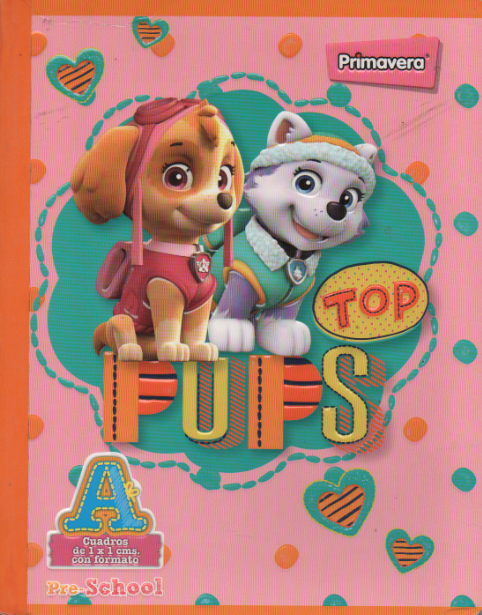 Cuaderno niña cuadritos tipo A 100 hojas Paw patrol