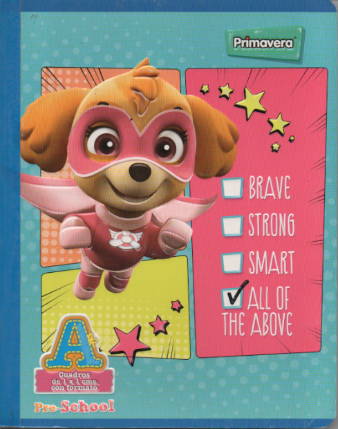 Cuaderno niña cuadritos tipo A 100 hojas Paw patrol